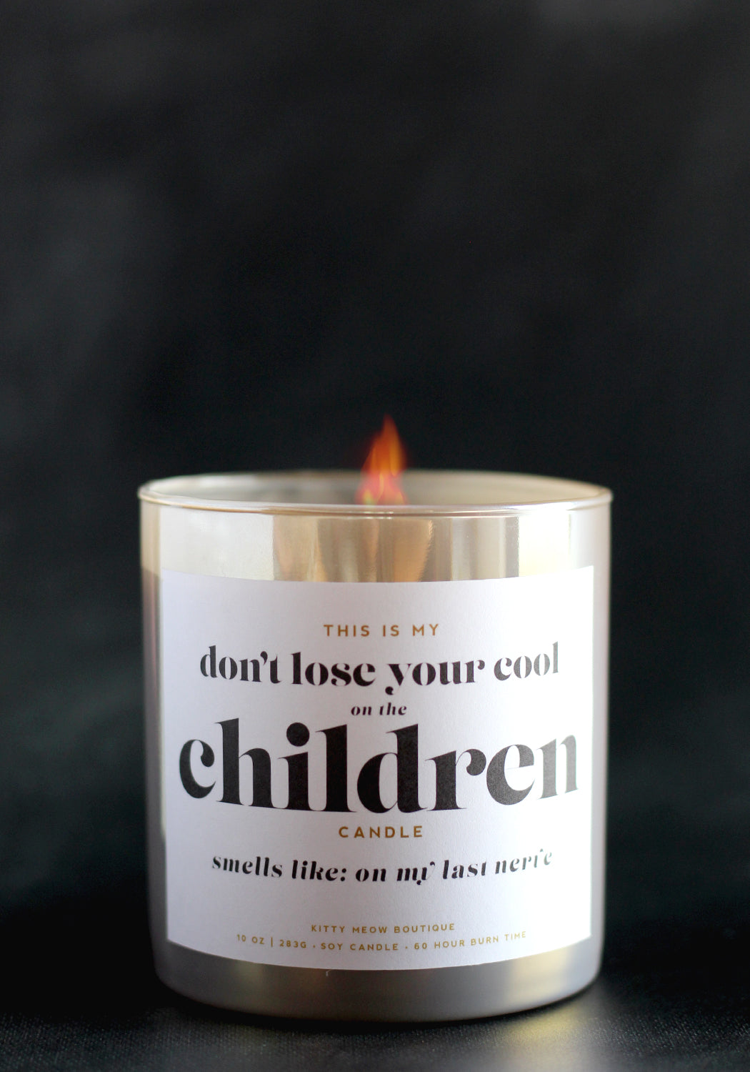 Don't Lose Your Cool On The Children, Funny Teacher Luxury Soy