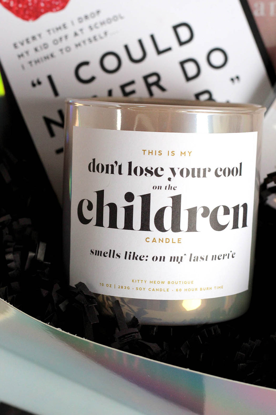 Don't Lose Your Cool On The Children, Funny Teacher Luxury Soy Candle –  Kitty Meow HQ